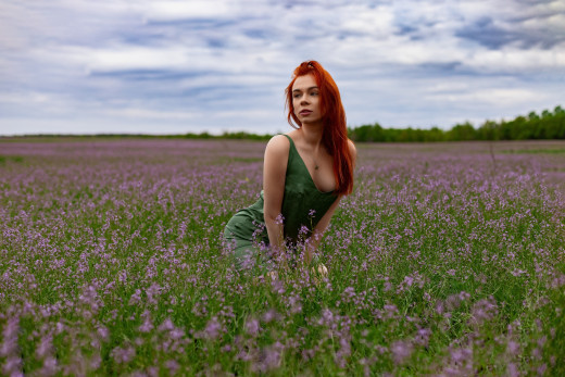 1734587 (a): :2560x1707